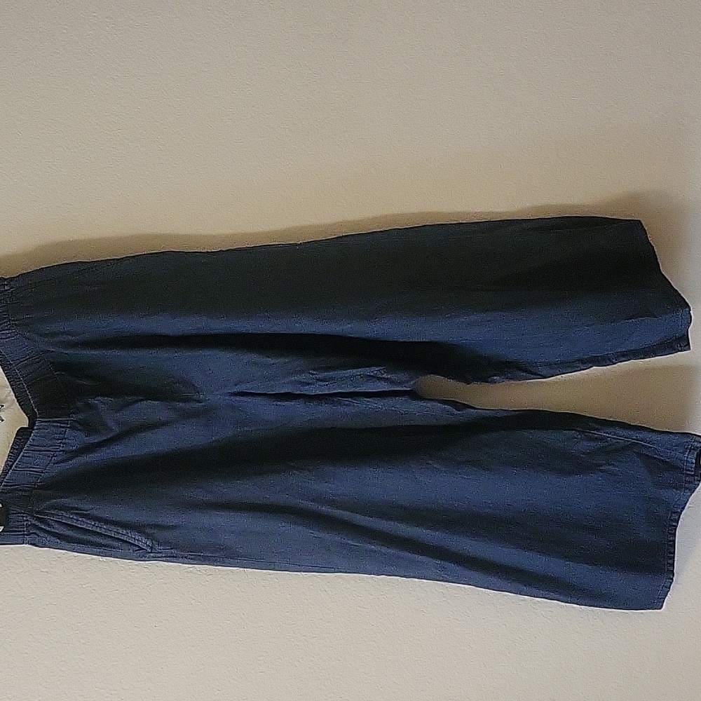 Eileen Fisher Medium blue wide-legged cropped pants